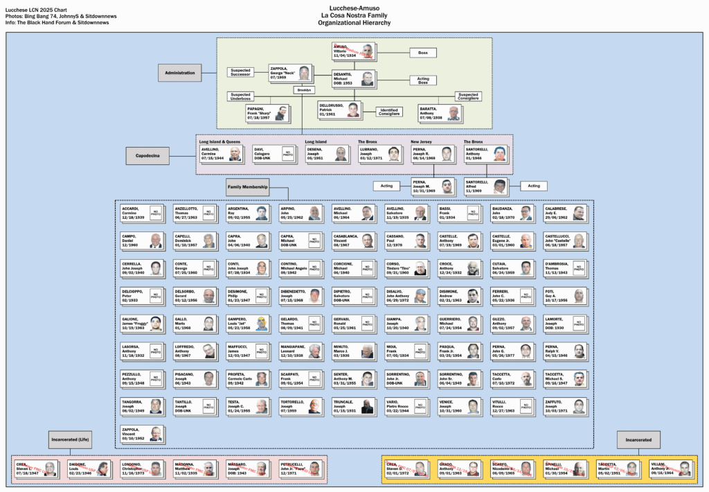 Lucchese Family Chart (2025)